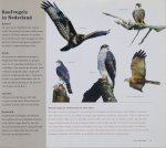 Div. auteurs - Het natuurboek : de gebieden van Natuurmonumenten
