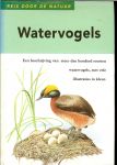 Stastny, Karel .. Geillustreerd door Kvetoslav Hisek. In het Nederlands vertaald en bewerkt door Ing. W. van Katwijk - Watervogels  .. Beschrijving van meer dan 100 soorten watervogels,  Met vele illustraties in kleur.