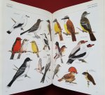 perrins, christopher m. - geiïlustreerde encyclopedie van de vogels: een compleet overzicht van alle vogelsoorten van de wereld perrins, christopher m. - geiïlustreerde encyclopedie van de vogels: een compleet overzicht van alle vogelsoorten van de wereld