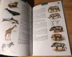 Carruthers, Vincent (ed) - The Wildlife of Southern Africa - a field guide to the animals and plants