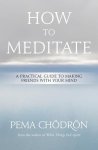 Pema Chodron - How to Meditate A Practical Guide to Making Friends with Your Mind