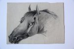 Woensel, Petronella van (1785-1839) - Head of a horse (Tekening van het hoofd van een paard).