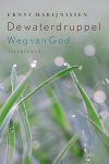 Ernst Marijnissen - De waterdruppel