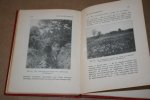 Dr. J. Botke - De Hondsrug   (Uitgaven der Nederlandsche Natuurhistorische Vereeniging No. 2)