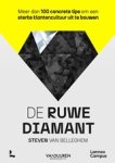 Steven van Belleghem - De ruwe diamant