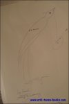 Simons, Ludo. - Jo de Meester. retrospectieve tentoonstelling UFSIA.  ** Gesigneerd ***