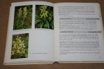 Hans Sundermann - Europäische und mediterrane Orchideen -- Eine Bestimmungsflora
