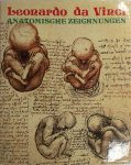 Leonardo (Da Vinci), Jean Mathé - Anatomische Zeichnungen