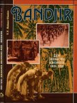 Hobma-Glastra, T.Y. - Bandjir: Een Indische kroniek 1935-1950 Hobma-Glastra, T.Y. - Bandjir: Een Indische kroniek 1935-1950