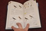 Gooders, John - Veldgids voor de vogels van Europa Gooders, John - Veldgids voor de vogels van Europa