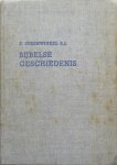 Steenwinkel P - Bijbelse geschiedenis