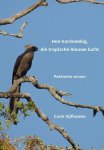 Carin Vijfhuizen - Hoe hardnekkig, die tropische blauwe lucht