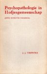 Terpstra, Johannes Jan. - Psychopathologie in hofjesgemeenschap : (over involutie paranoia).