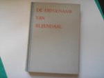 Schuttevaer-Velthuis, N. - De erfgenaam van Blijendaal