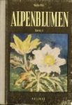 RYTZ, WALTER - Alpenblumen II