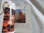 Lanner Ronald M. - Autumn leaves : a guide to the fall colors of the northwoods