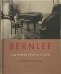 Bernlef - Hoe van de trap te vallen De jazzverhalen
