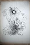  - Raoul Dufy - Lithografie - La Trapeze Volant