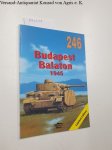 Swirin, M., O. Baronow M. Kolomyjec u. a.: - Budapeszt, Balaton 1945 - No. 246 (Limited Edtion)