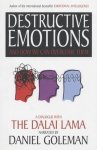 Daniel Goleman & His Holiness the Dalai - Destructive Emotions