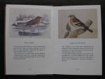 Bewick, Thomas - Thomas Bewick's Birds