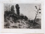 Schaepkens, Arnaud (1816-1904) - Three etchings of landscapes and plants (Landschap en planten).