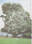 silke, john j. - the diocese of raphoe a brief history