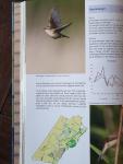 Joost van Reisen - Vogels in een veranderend duin-Broedvogelmonitoring in Berkheide van 1984 tot 2010