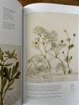 Mabey, Richard - The Frampton Flora