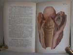 Bollinger, O.. - Atlas und Grundriss der pathologischen Anatomie. Nach Originalen von Maler A. Schmitson. Band XI, I. Band: Cirkulations-, Respirations- & Digestionsapparat, Leber, Gallenwege und Pankreas & Band XII, II. Theil: Harnapparat, Geschlechtsorgane, ...