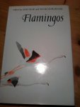 Kear, J & Duplaix-Hall, N - Flamingos