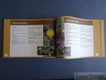 Vandewiele, Sandra / Van Laer, Paul / Royen, Ludo e.a. - Fruit-wijzer. Plantadvies voor streekeigen hoogstamfruitbomen in de provincie Antwerpen.