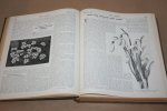 H. Cowley - The Garden - 1916 -- Illustrated Weekly Journal -- Horticulture in all its Branches