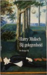 Harry Mulisch - Bij gelegenheid