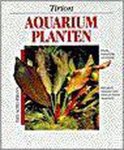 Ines Scheurmann - Aquarium Planten