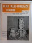Union Royale Belge pour le Congo et les pays d'Outremer - Revue Belgo-Congolaise Illustrée, No 12, décembre 1963. En couverture: 2 guépards