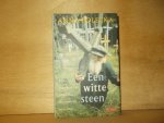 Bolecka, Anna - Een witte steen een magisch boek vol mytische beelden