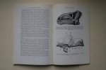 E, Swinton - Fossil Amphibians And Reptiles