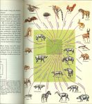 Grzimek, Prof. Dr. Bernard  .. Dr.A. Scheygrond  .. en Dr.A. van Wijngaarden - Het leven der dieren. Encyclopedie van het dierenrijk .. Zoogdieren boek I  Deel 10
