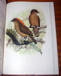 Cooper, William T. & Forshaw, Joseph, M. - The birds of paradise and bower birds
