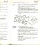 SCHEEPSTRA JEANNE - EEN NIEUWE KIJK OP KOKEN kookboek voor het LBO theorie en praktijk maar ook prima voor in de keuken  * KOUDE EN WARME VOORGERECHTEN * groenten moet iedere dag....cake,koek,taart en andere baksels * kaas te kust en tekeur * DIEPVRIEZEN maar hoe