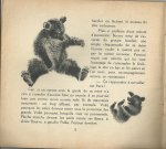 Lida (tekst) & Rojan (beeld) - Bourru l'ours brun