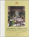 Tintori, Oscar - Ornamental citrus plants - advice on their cultivation from our rural gardening tradition Tintori, Oscar - Ornamental citrus plants - advice on their cultivation from our rural gardening tradition