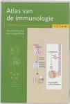 Burmester - Sesam Atlas van de immunologie