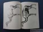 Knight, Charles R. - Animal drawing: anatomy and action for artists .(Animal Anatomy and Psychology for Artists and Laymen)