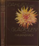 Sandhack, H.A. - Dahlien und Gladiolen. Ihre Beschreibung, Kultur und Züchtung. Ein Handbuch für die Praxis des Berufsgärtners und Gartenliebhabers.