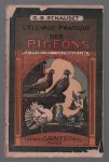G Benjamin Renaudet - L evelage pratique des pigeons à la volière de la maison bourgeoise : le pigeon voyageur