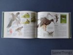 Han Honders et al. (medewerkers) / Reader's Digest. - Reader's Digest. Veldgids voor de natuurliefhebber. Vogels van West- en Midden-Europa