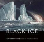 David Blackwood, Katharine Aileen Lochnan, Gary Michael Dault, Art Gallery Of Ontario - Black Ice Prints of Newfoundland