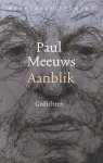 Paul Meeuws - Aanblik